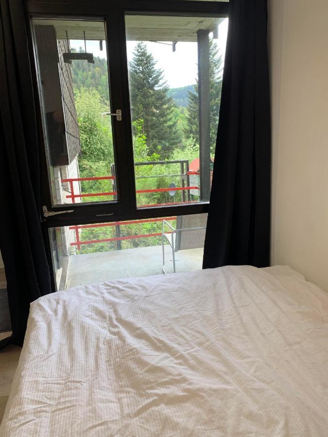 Kleines Einzimmer-Apartment 14 باد ويلباد المظهر الخارجي الصورة