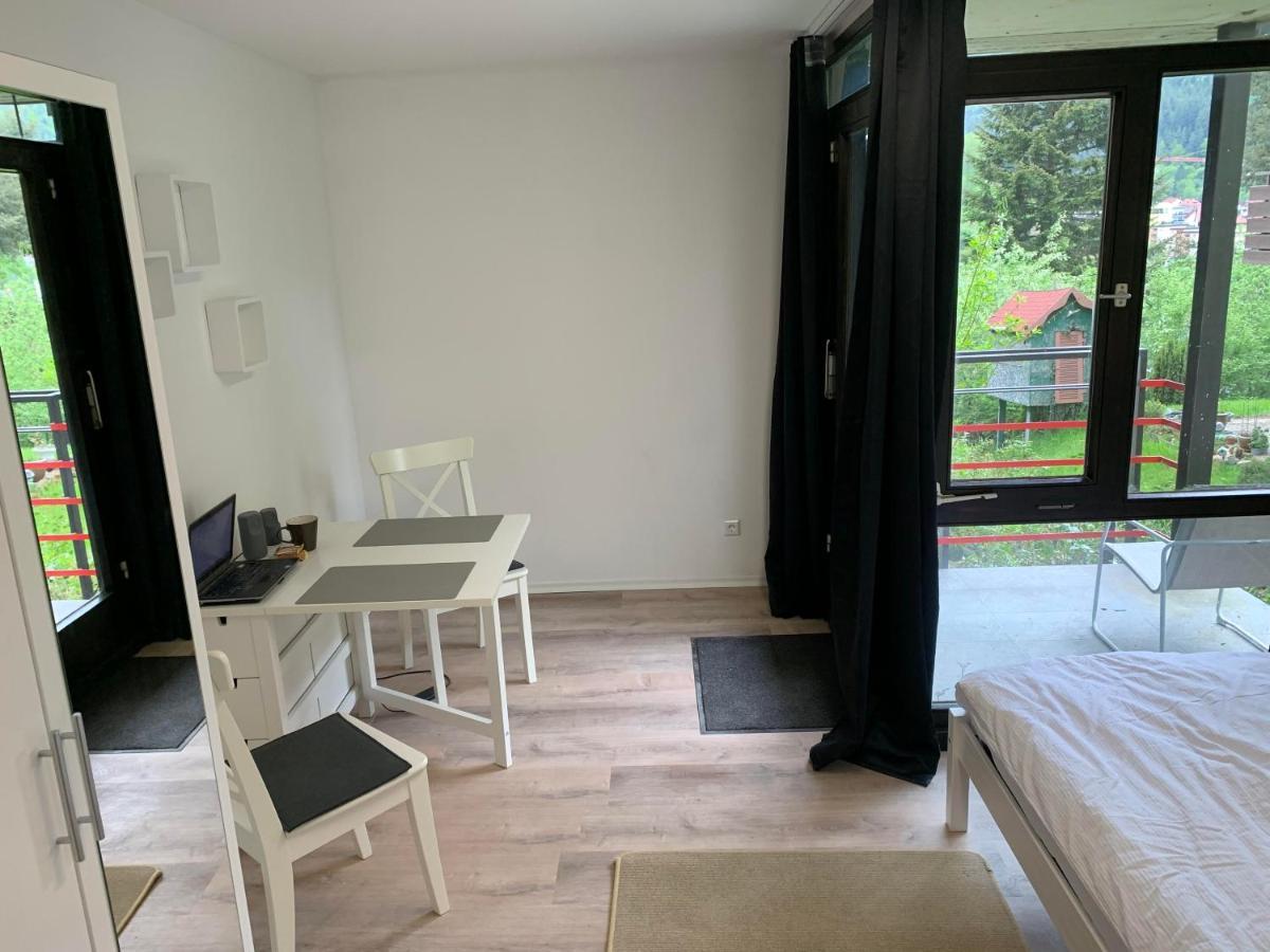 Kleines Einzimmer-Apartment 14 باد ويلباد المظهر الخارجي الصورة