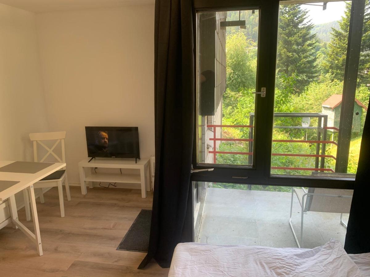 Kleines Einzimmer-Apartment 14 باد ويلباد المظهر الخارجي الصورة